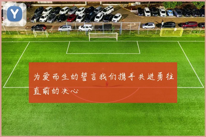 为爱而生的誓言我们携手共进勇往直前的决心