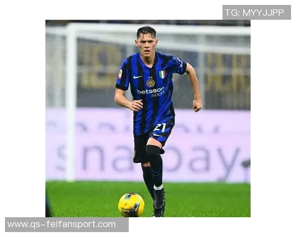 国米旧将范赫斯登因膝盖韧带重伤宣布退役年仅26岁